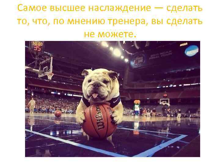 Самое высшее наслаждение — сделать то, что, по мнению тренера, вы сделать не можете.