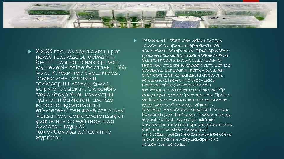 Макет двух объектов с таблицей XIX-XX ғасырларда алғаш рет неміс ғалымдары өсімдіктің бөлініп алынған