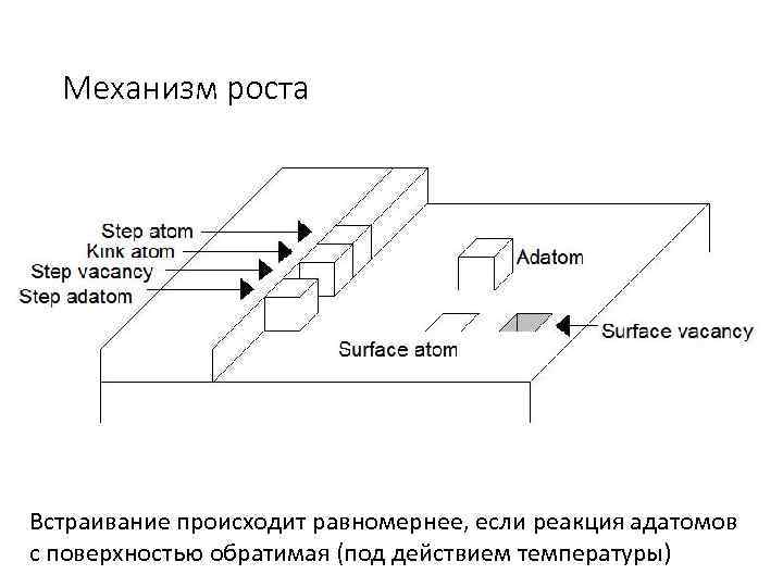 Механизм роста Встраивание происходит равномернее, если реакция адатомов с поверхностью обратимая (под действием температуры)