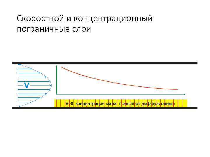 Скоростной и концентрационный пограничные слои 