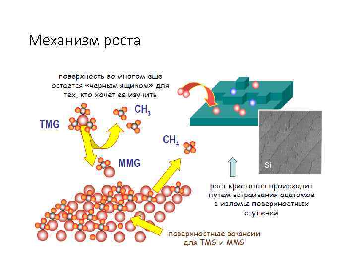 Механизм роста 