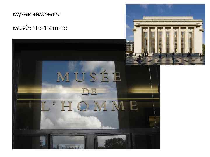 Музей человека Musée de l'Homme 