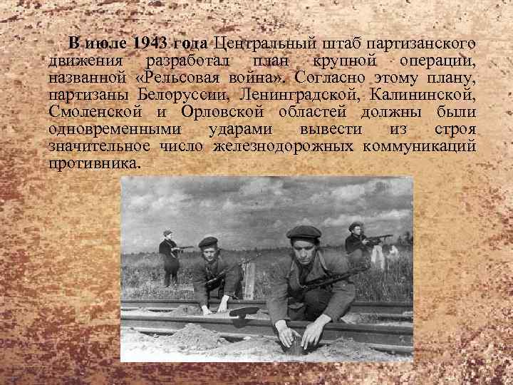В июле 1943 года Центральный штаб партизанского движения разработал план крупной операции, названной «Рельсовая