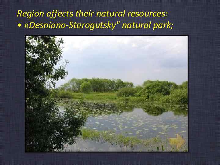 Region affects their natural resources: • «Desniano-Starogutsky