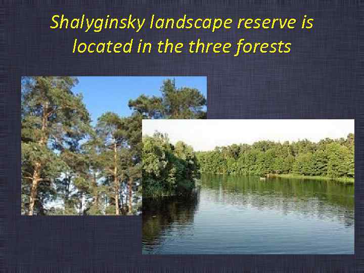 Shalyginsky landscape reserve is located in the three forests 