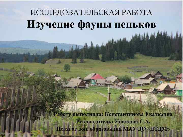 ИССЛЕДОВАТЕЛЬСКАЯ РАБОТА Изучение фауны пеньков Работу выполнила: Константинова Екатерина Руководитель: Ушакова С. А. Педагог