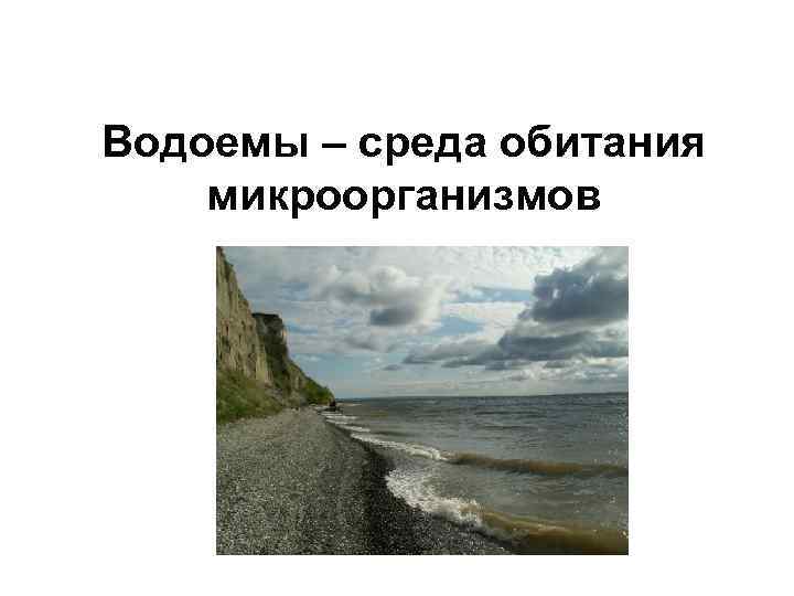 Водоемы – среда обитания микроорганизмов 