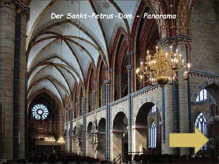 Der Sankt-Petrus-Dom - Panorama 