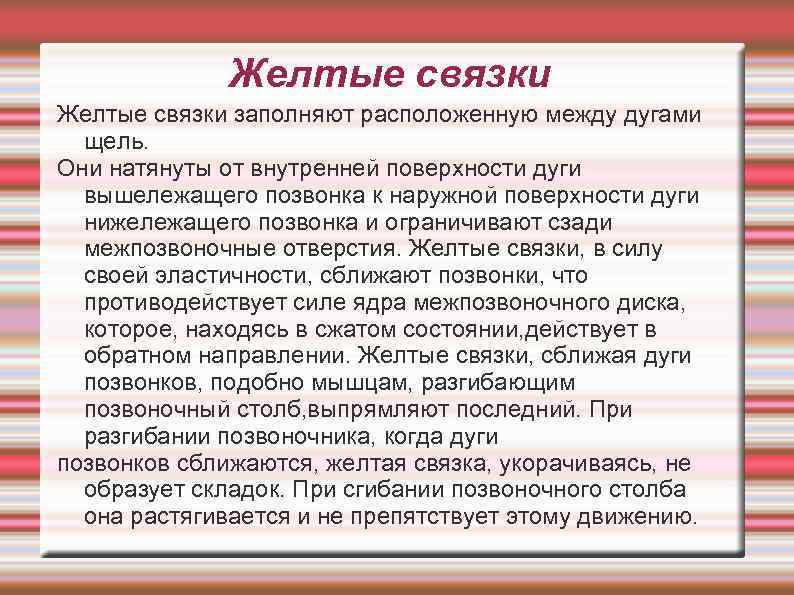 Желтые связки заполняют расположенную между дугами щель. Они натянуты от внутренней поверхности дуги вышележащего