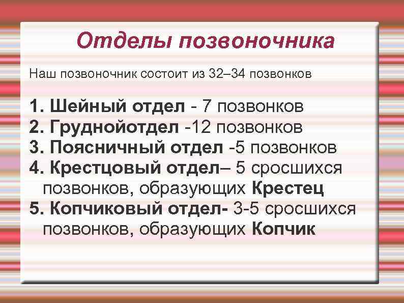 Отделы позвоночника Наш позвоночник состоит из 32– 34 позвонков 1. Шейный отдел - 7