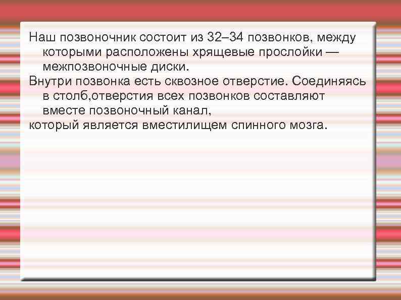 Наш позвоночник состоит из 32– 34 позвонков, между которыми расположены хрящевые прослойки — межпозвоночные