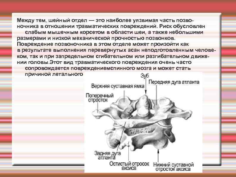 Между тем, шейный отдел — это наиболее уязвимая часть позвоночника в отношении травматических повреждений.