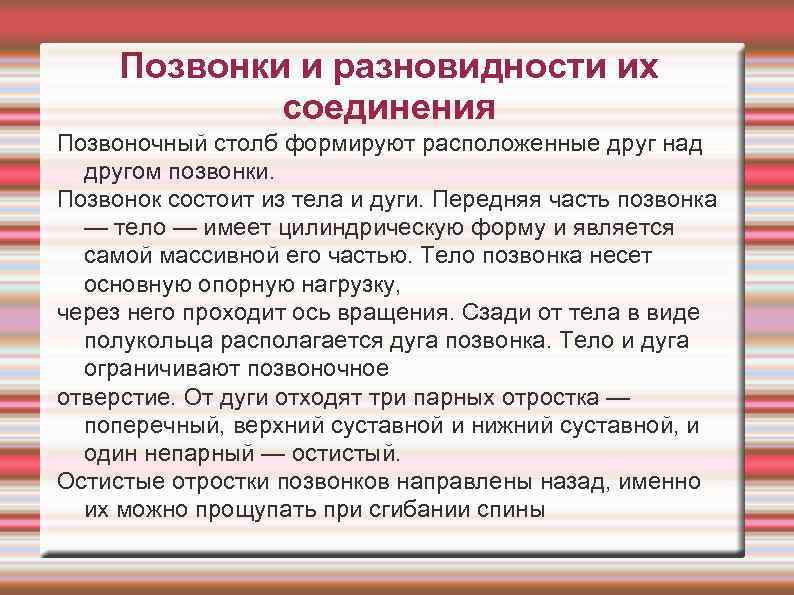 Позвонки и разновидности их соединения Позвоночный столб формируют расположенные друг над другом позвонки. Позвонок