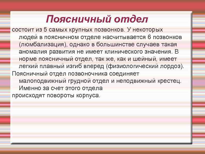 Поясничный отдел состоит из 5 самых крупных позвонков. У некоторых людей в поясничном отделе