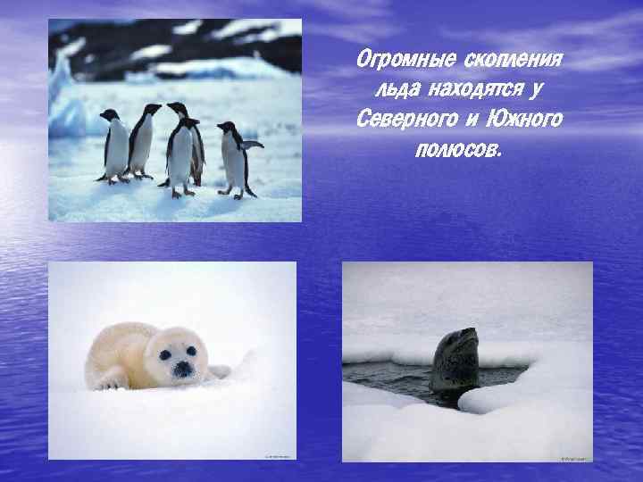 Огромные скопления льда находятся у Северного и Южного полюсов. 