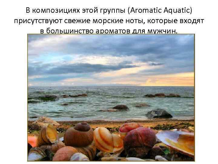 В композициях этой группы (Aromatic Aquatic) присутствуют свежие морские ноты, которые входят в большинство