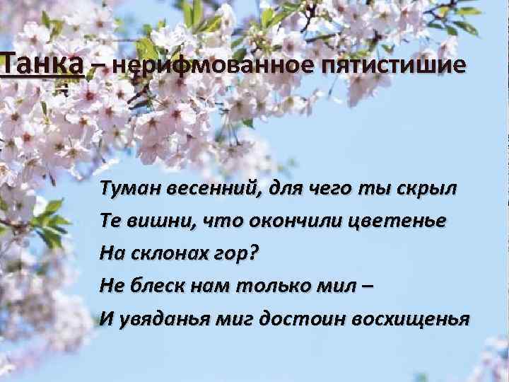 Танка – нерифмованное пятистишие Туман весенний, для чего ты скрыл Те вишни, что окончили