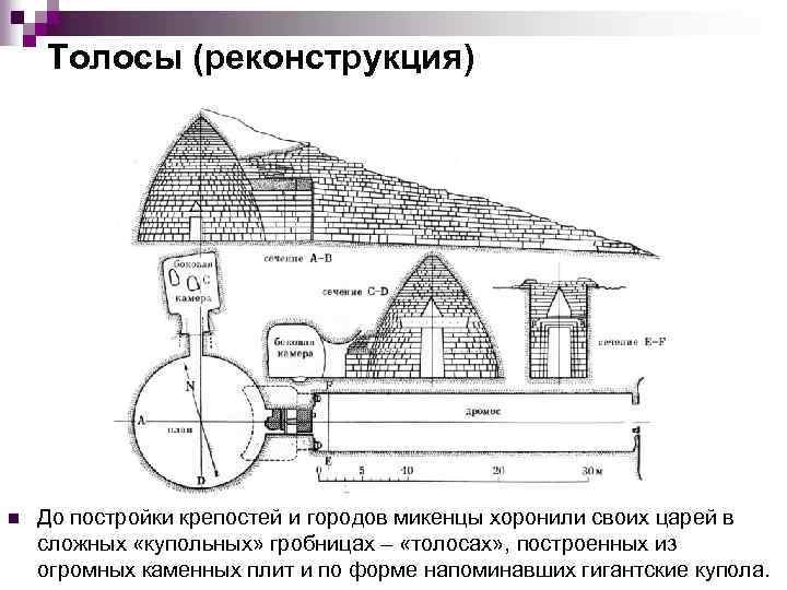 Толосы (реконструкция) n До постройки крепостей и городов микенцы хоронили своих царей в сложных