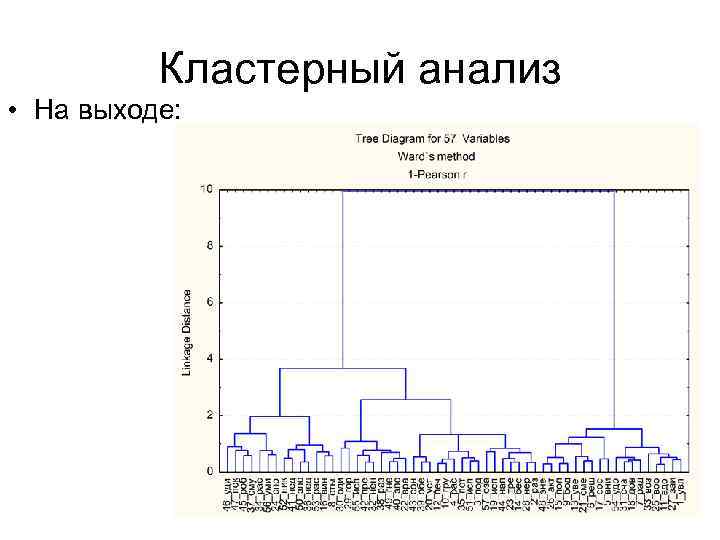 Кластерный анализ • На выходе: 