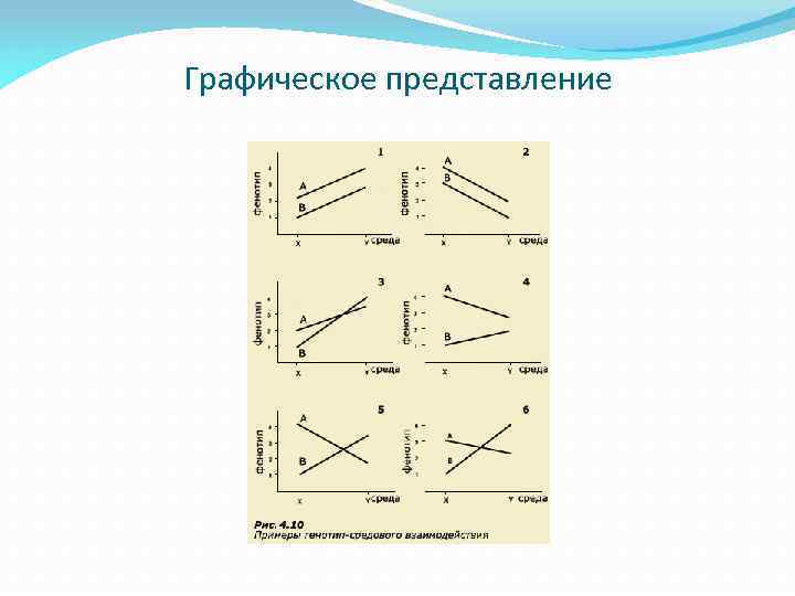Графическое представление 