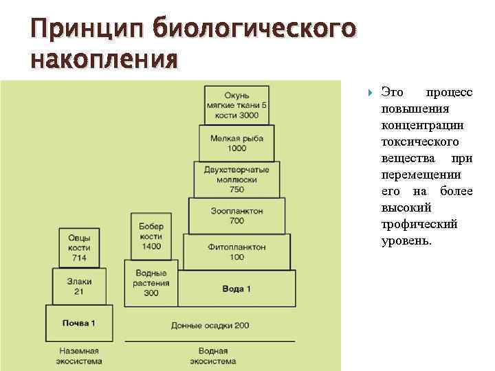 Пути миграции и накопление в биосфере токсичных и радиоактивных веществ схема