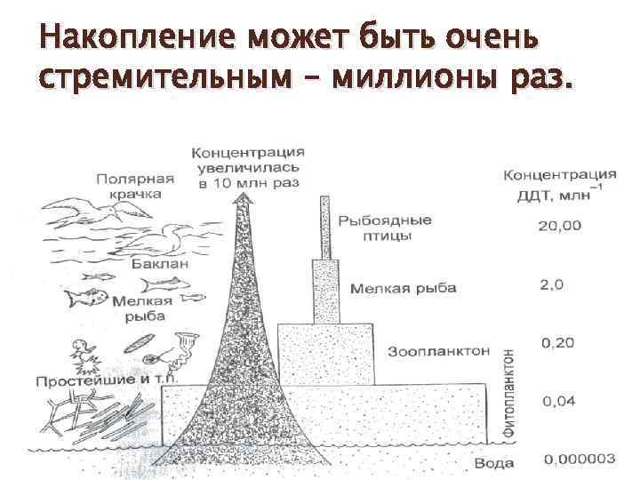 Накопление может быть очень стремительным – миллионы раз. 