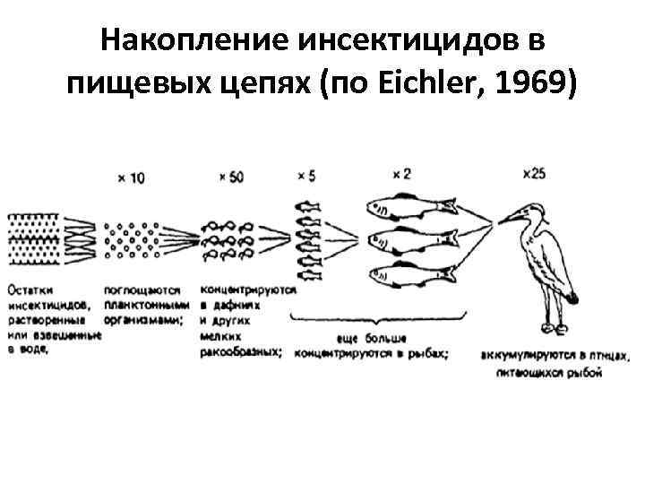 Накопление инсектицидов в пищевых цепях (по Eichler, 1969) 