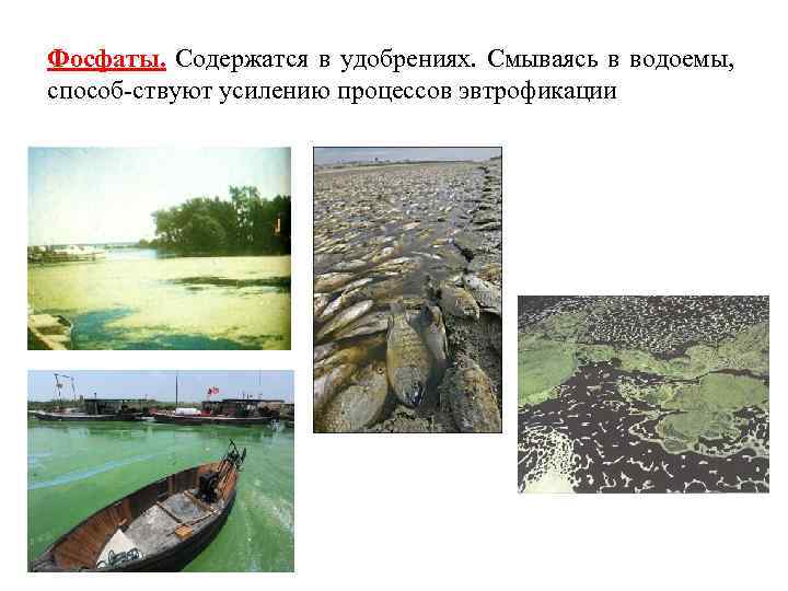 Фосфаты. Содержатся в удобрениях. Смываясь в водоемы, способ ствуют усилению процессов эвтрофикации 