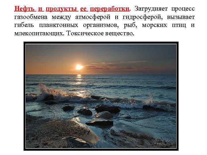 Нефть и продукты ее переработки. Затрудняет процесс газообмена между атмосферой и гидросферой, вызывает гибель