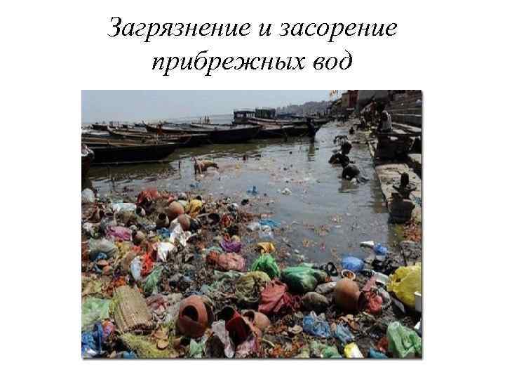 Загрязнение и засорение прибрежных вод 
