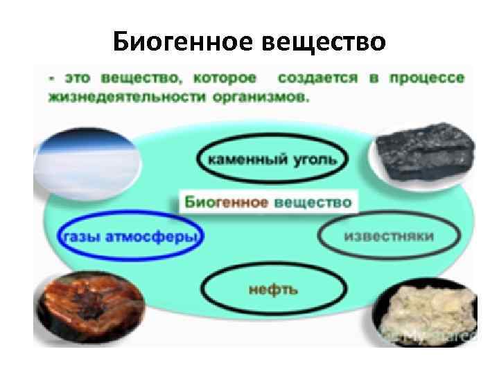 Биогенное вещество 