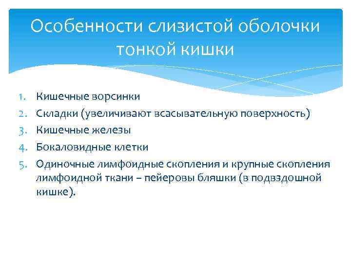 Особенности слизистой оболочки тонкой кишки 1. 2. 3. 4. 5. Кишечные ворсинки Складки (увеличивают