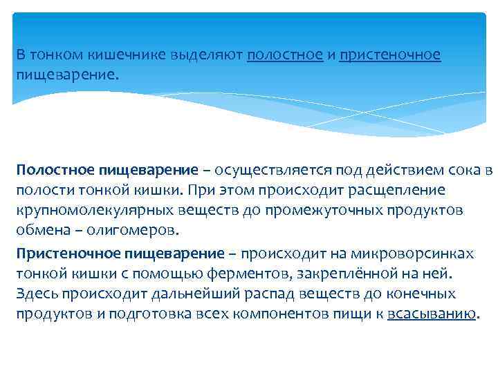 В тонком кишечнике выделяют полостное и пристеночное пищеварение. Полостное пищеварение – осуществляется под действием