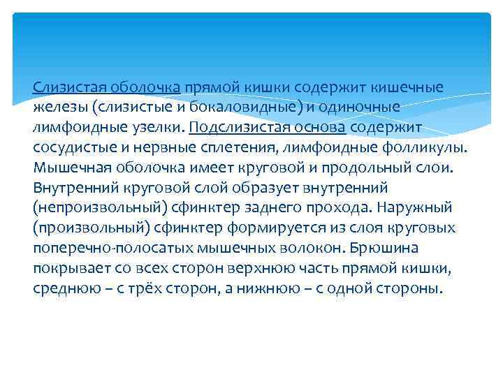 Слизистая оболочка прямой кишки содержит кишечные железы (слизистые и бокаловидные) и одиночные лимфоидные узелки.