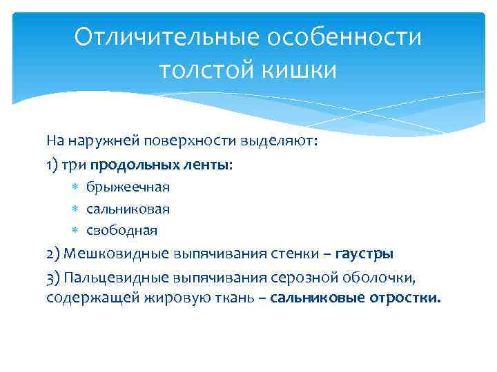 Отличительные особенности толстой кишки На наружней поверхности выделяют: 1) три продольных ленты: брыжеечная сальниковая