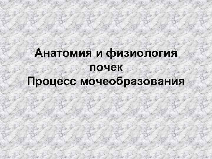 Анатомия и физиология почек Процесс мочеобразования 