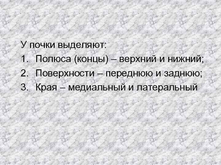 У почки выделяют: 1. Полюса (концы) – верхний и нижний; 2. Поверхности – переднюю