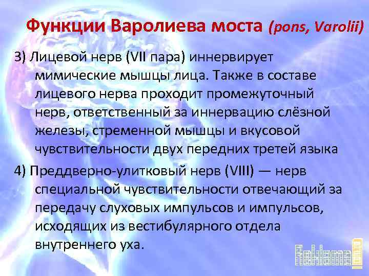 Функции Варолиева моста (pons, Varolii) 3) Лицевой нерв (VII пара) иннервирует мимические мышцы лица.