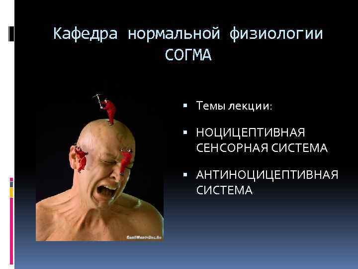 Кафедра нормальной физиологии СОГМА Темы лекции: НОЦИЦЕПТИВНАЯ СЕНСОРНАЯ СИСТЕМА АНТИНОЦИЦЕПТИВНАЯ СИСТЕМА 