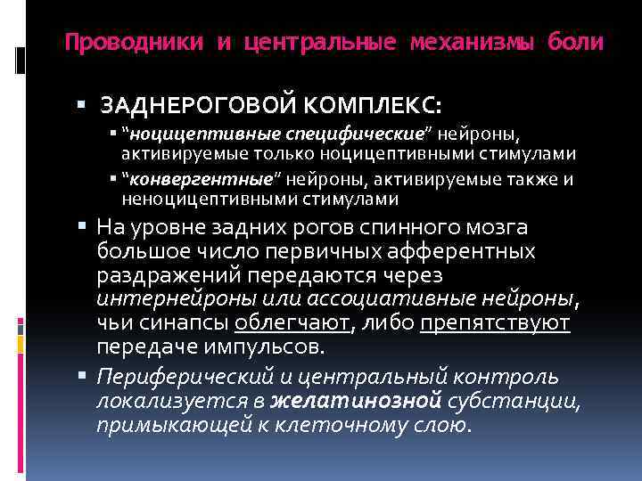 Проводники и центральные механизмы боли ЗАДНЕРОГОВОЙ КОМПЛЕКС: “ноцицептивные специфические” нейроны, активируемые только ноцицептивными стимулами