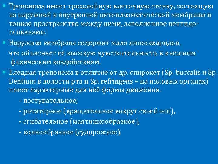  Трепонема имеет трехслойную клеточную стенку, состоящую из наружной и внутренней цитоплазматической мембраны и