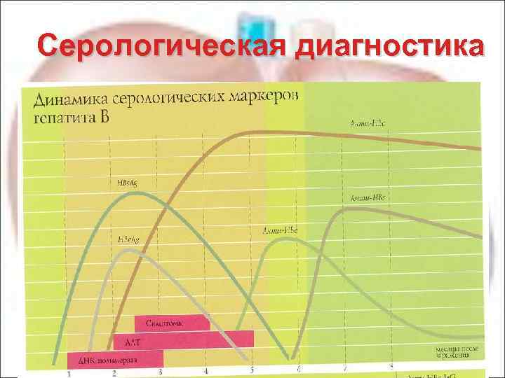 Серологическая диагностика 