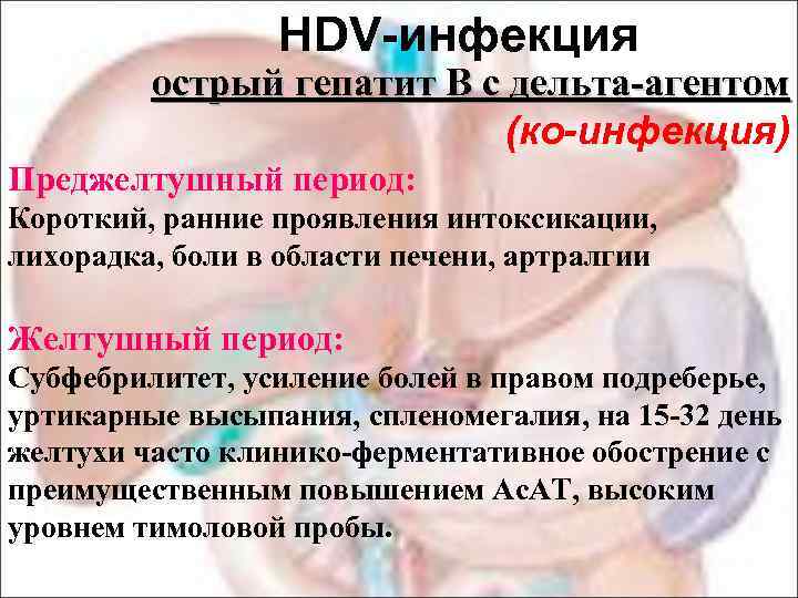 HDV-инфекция острый гепатит В с дельта-агентом (ко-инфекция) Преджелтушный период: Короткий, ранние проявления интоксикации, лихорадка,