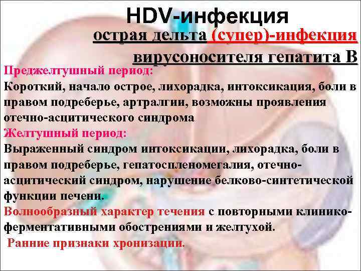 HDV-инфекция острая дельта (супер)-инфекция вирусоносителя гепатита В В Преджелтушный период: Короткий, начало острое, лихорадка,