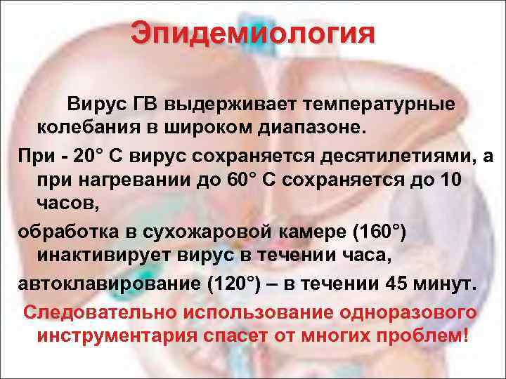 Эпидемиология Вирус ГВ выдерживает температурные колебания в широком диапазоне. При - 20° С вирус