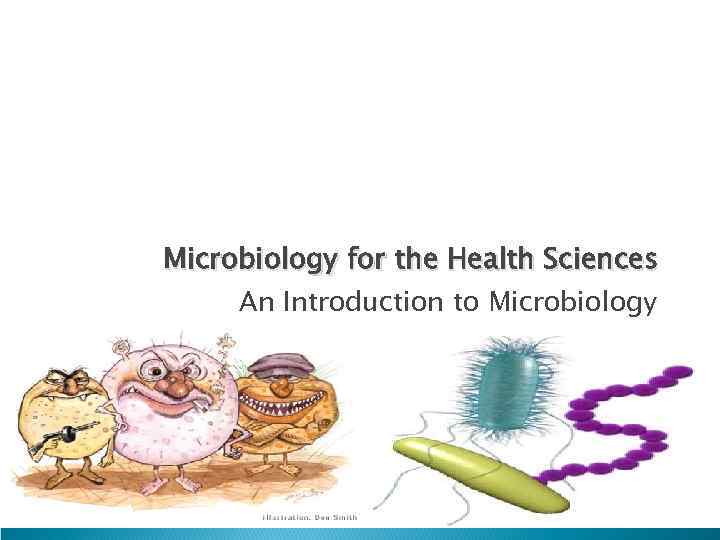 Microbiology for the Health Sciences An Introduction to Microbiology MICROBIOLOGY WITH DISEASES BY BODY