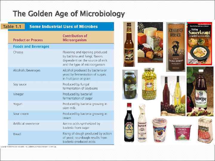 The Golden Age of Microbiology 