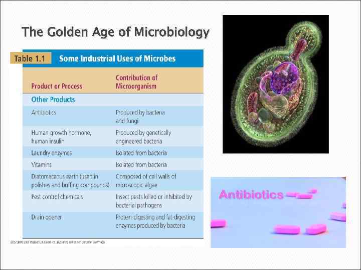 The Golden Age of Microbiology 