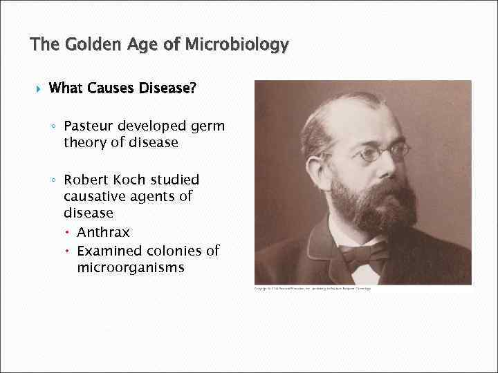 The Golden Age of Microbiology What Causes Disease? ◦ Pasteur developed germ theory of