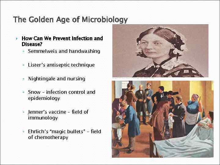 The Golden Age of Microbiology How Can We Prevent Infection and Disease? ◦ Semmelweis